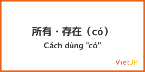 8. 存在・所有・所在構文（có・ở）