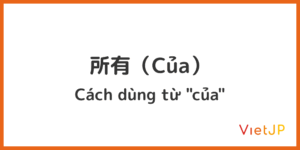 7. 所有（của）
