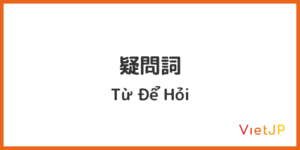 5. 疑問詞
