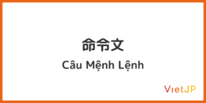 12. 命令文